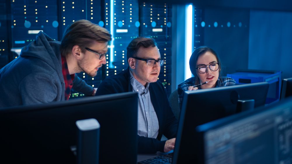 ENS - IT Consulting Services