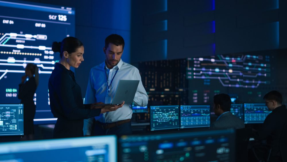 ENS - IT Consulting Services