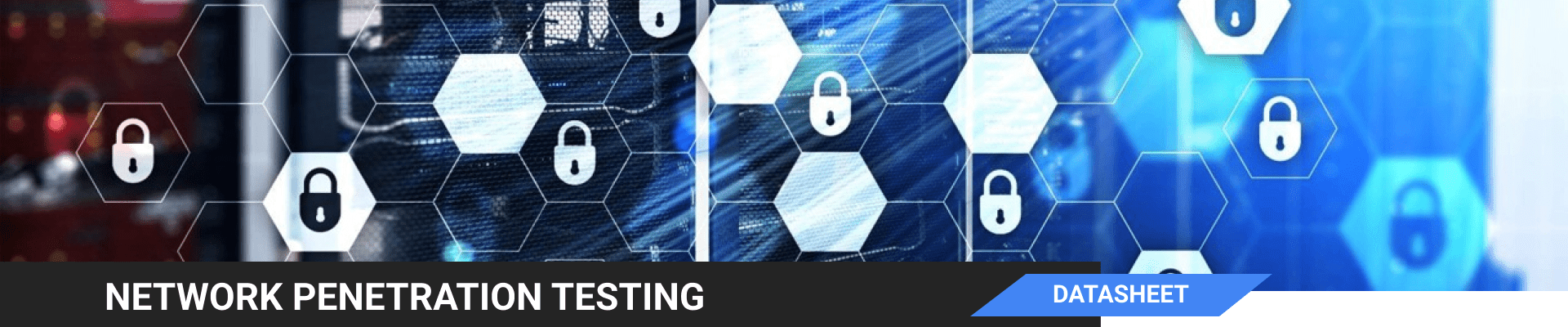 ENS - IT Consulting Services